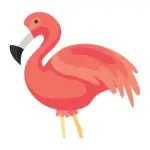 Flamingo Animator application logo